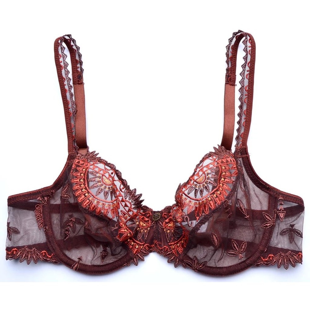 Chantelle France 3691 Embroidered Sheer Mesh Underwire Bra 34B Brown NWT